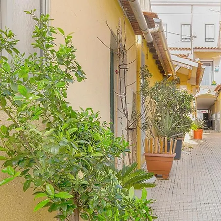 Cosy Duplex House In Downtown